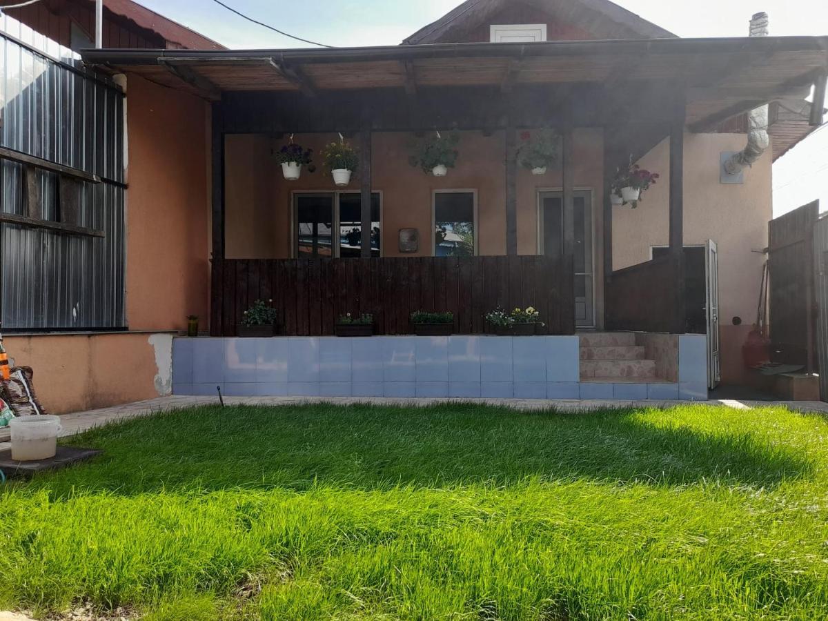 Central City House Tulcea Exterior photo